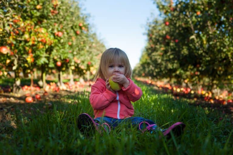 Alimentation des enfants : le rôle de la mondialisation