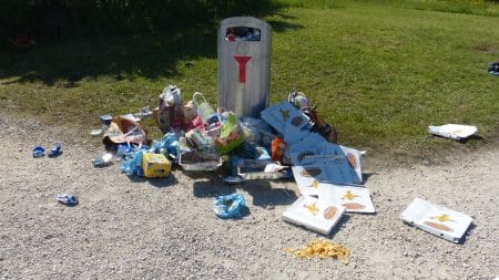 1 Français sur 3 jetterait ses déchets à travers la fenêtre de la voiture
