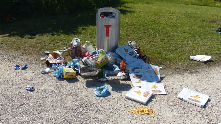 1 Français sur 3 jetterait ses déchets à travers la fenêtre de la voiture