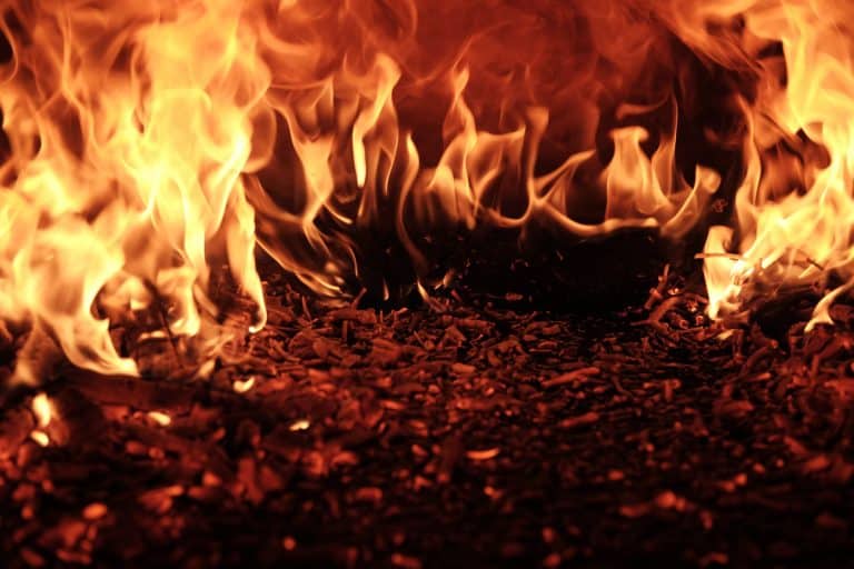 Les incendies qui ravagent l&rsquo;Amazonie peuvent amplifier le changement climatique