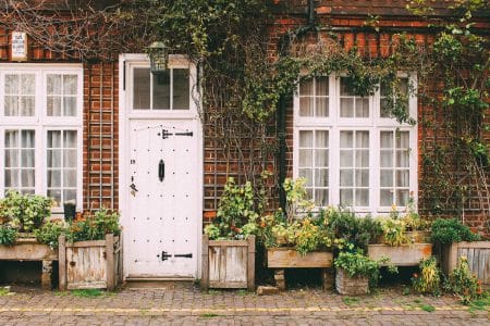 Bruxelles : des habitants payés pour végétaliser la façade de leur maison