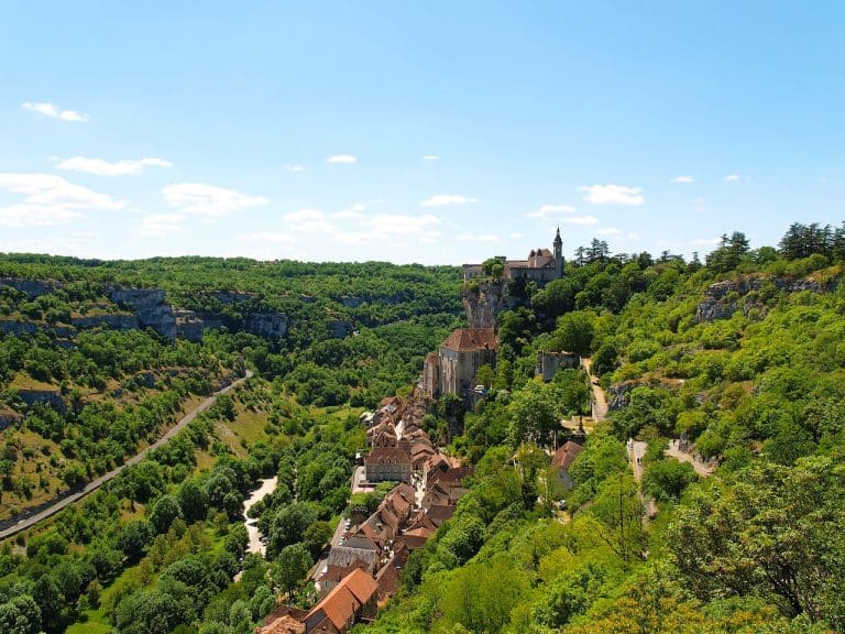 France : l&rsquo;Occitanie envisage de planter 230 000 arbres sur son territoire