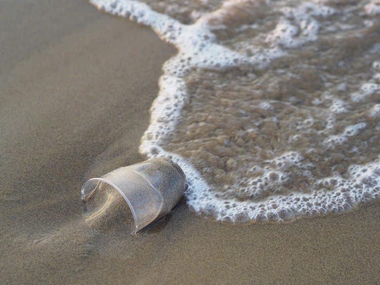 PornHub lance une étonnante campagne de sensibilisation à la pollution des océans