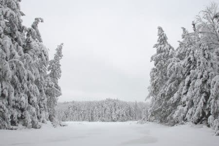 L’hiver 2019 risque d’être le plus glacial des 30 dernières années (-50° attendus)