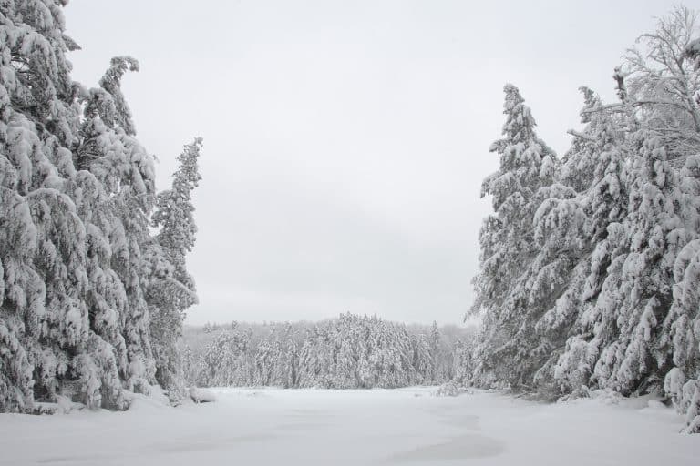 L&rsquo;hiver 2019 risque d&rsquo;être le plus glacial des 30 dernières années (-50° attendus)