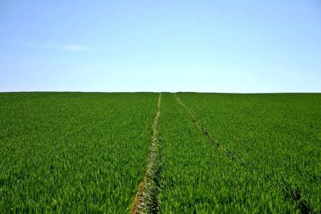 Comment nourrir tout le monde sans détruire la Planète ?