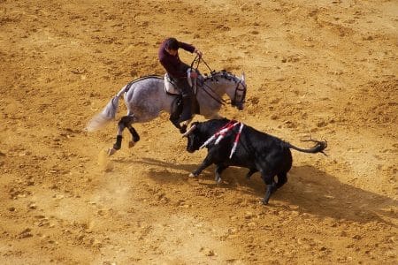 La corrida pourrait prochainement être interdite aux mineurs