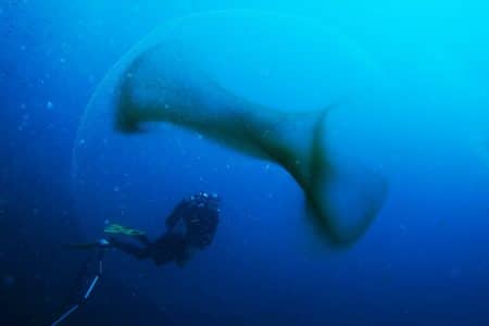 Une drôle de sphère transparente observée près de Marseille