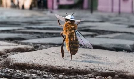 Les abeilles ont maintenant leur influenceuse sur Instagram !