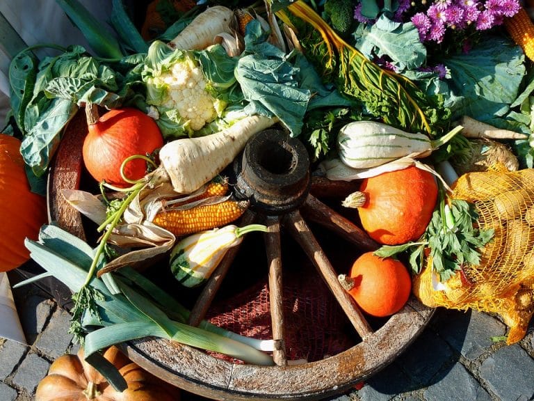 Super U transforme ses invendus alimentaires en compost ! Une première en France