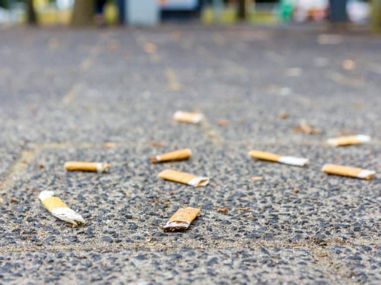 Ramassez des mégots dans la rue et vous aurez un panier alimentaire !