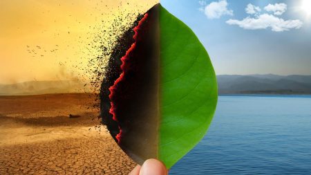 5 idées pour lutter contre le réchauffement climatique