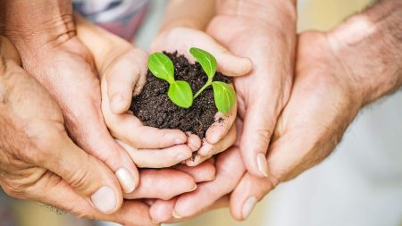 5 idées pour sensibiliser les enfants à la cause environnementale