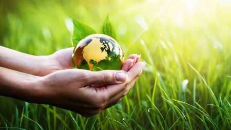 5 solutions pour agir concrètement pour l’environnement