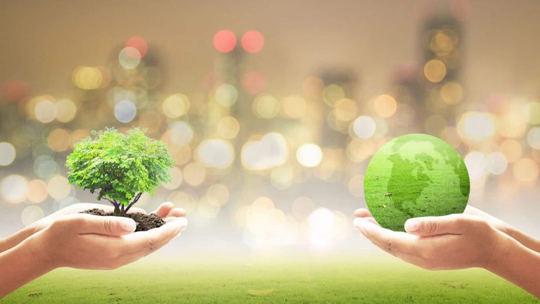 Quels sont les plus grands défis environnementaux à relever cette année ?