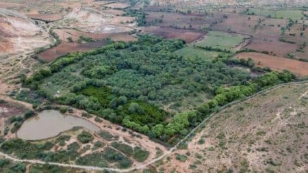 Inde : Ils achètent une parcelle de terre pour que la nature reprenne ses droits Inde Ils achètent une parcelle de terre pour que la nature reprenne ses droits (1)