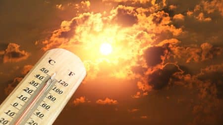 Et si le coronavirus sauvait la planète du désastre écologique ? Une tribune signé par 1 000 scientifiques appelle à la désobéissance civile