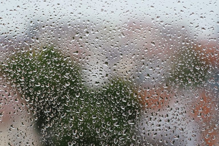 Comment combattre l&rsquo;humidité à la maison ? (Partie 1)