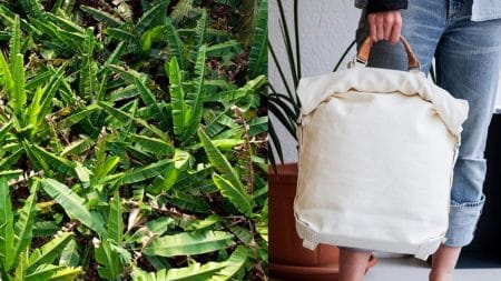 Bananatex, ou le tissu éco-responsable fabriqué à partir de fibres de bananes
