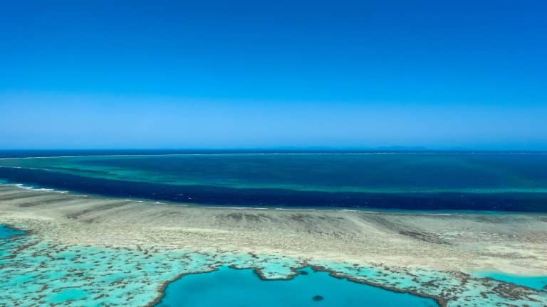 La Grande Barrière de corail est en train de mourir…