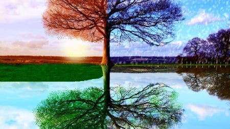 Le dérèglement climatique impacte directement les saisons de l’Australie Le dérèglement climatique impacte directement les saisons de l’Australie