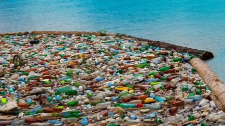Le plastique n’est pas beaucoup recyclé Le plastique n'est pas beaucoup recyclé