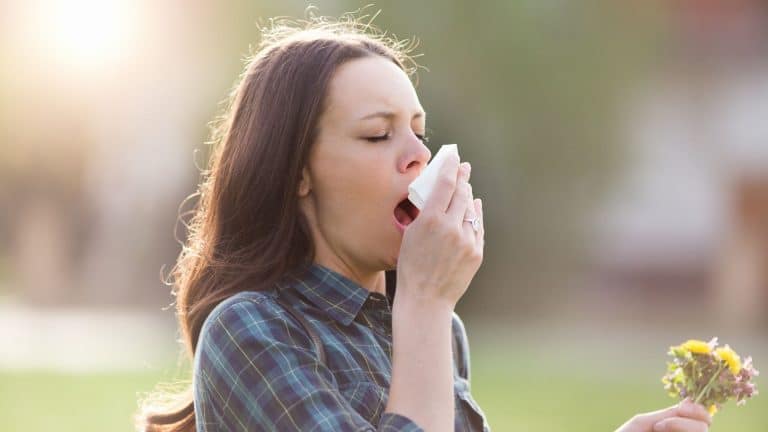 Le réchauffement climatique à l&rsquo;origine de plus en plus d&rsquo;allergies