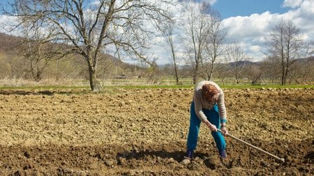 Le Pakistan embauche 63 000 chômeurs pour planter des arbres Le Pakistan embauche 63 000 chômeurs pour planter des arbres