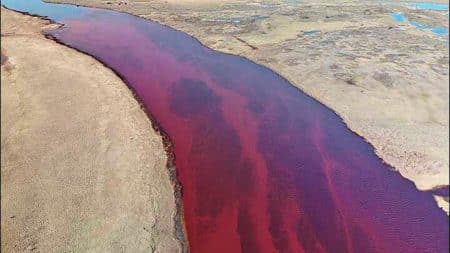 Comment gérer la catastrophe écologique en Sibérie orientale ? Terrible catastrophe écologique en Sibérie orientale