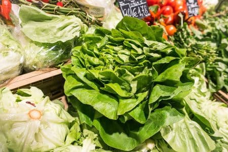 Le Havre transforme ses espaces verts en sites pour agriculture urbaine !