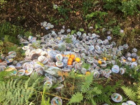 Des centaines de produits invendus Carrefour retrouvés jetés dans une forêt