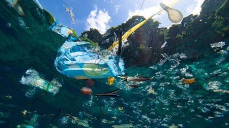 Irlande : il invente un aimant à plastique pour dépolluer les océans La pollution plastique pourrait tripler dans les océans d'ici 2040