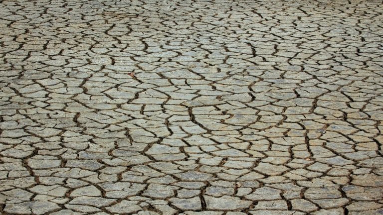 Record de chaleur dans la vallée de la Mort aux États-Unis