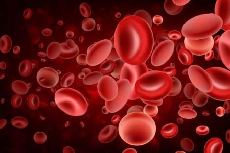 Découverte : des chercheurs ont réussi à synthétiser des globules rouges pour la première fois