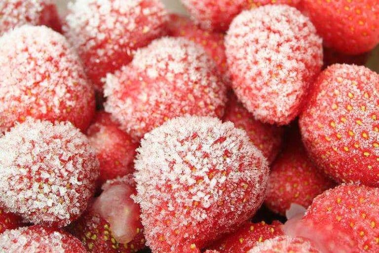 La cryogénie alimentaire