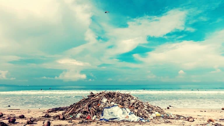 En Thaïlande, un parc naturel renvoie les déchets à leurs propriétaires