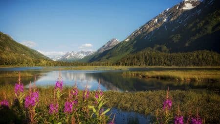Le Canada dit NON aux forages pétroliers et gaziers en Alaska Le Canada dit NON aux forages pétroliers et gaziers en Alaska