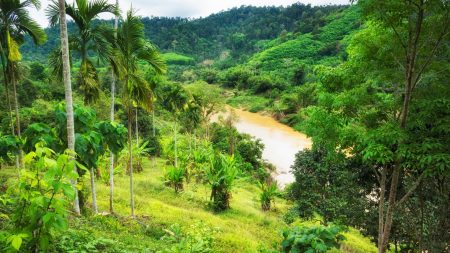 Thaïlande : fermeture annuelle des parcs nationaux pour préserver l’ecosystème Thaïlande _ fermeture annuelle des parcs nationaux pour préserver l’écosystème