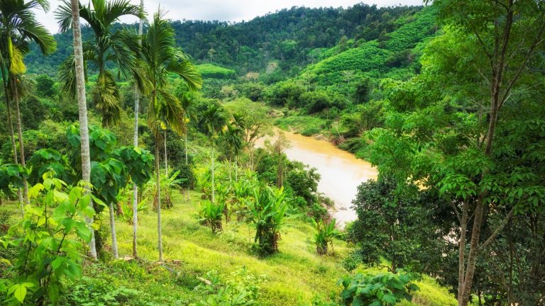 Thaïlande : fermeture annuelle des parcs nationaux pour préserver l’ecosystème