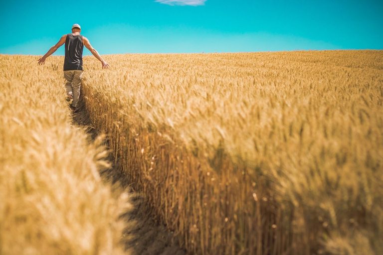 Formation des agriculteurs aux bonnes pratiques : le choix Planète Safe