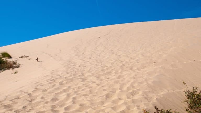 9 tonnes de déchets ramassés après l&rsquo;été sur la Dune du Pilat
