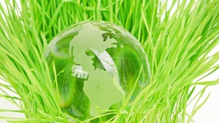 Encore une mauvaise nouvelle pour l’environnement… Encore une mauvaise nouvelle pour l'environnement