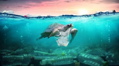 La mer Méditerranée est envahie de déchets plastiques La mer Méditerranée est envahie de déchets plastiques