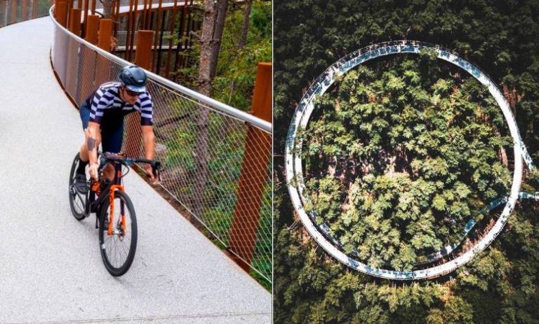 En Belgique, un pont circulaire et suspendu permet de faire du vélo en pleine forêt