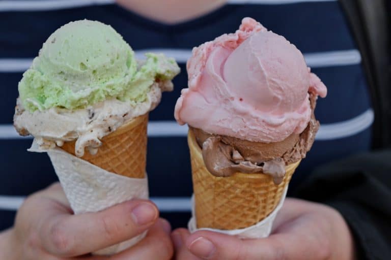 Ils inventent une crème glacée… sans lait de vache !