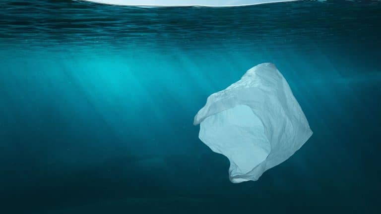 Les vêtements mis en cause dans la pollution de l&rsquo;océan Arctique