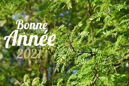Bonne année 2021 de la part de VivreDemain !