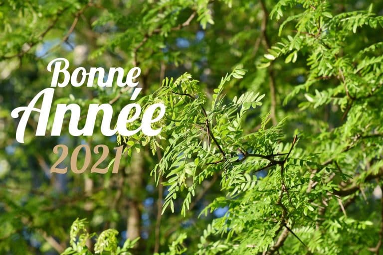 Bonne année 2021 de la part de VivreDemain !