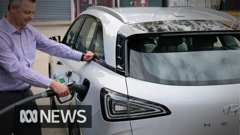 En Bretagne, il créé un biocarburant à base d&rsquo;urine de porc