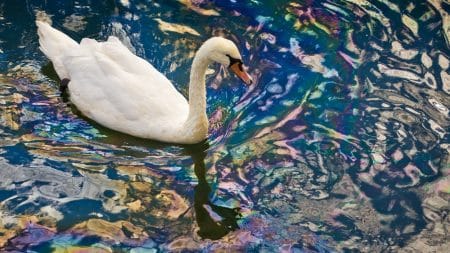 Un déversement accidentel de White Spirit en France